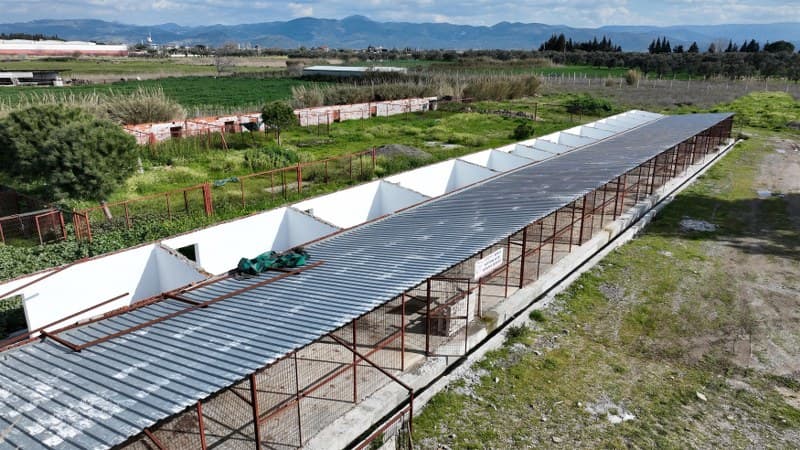 10 Mart tarihinde, uzun süredir kullanılmayan Çıkrıkçı Hayvan Barınağı