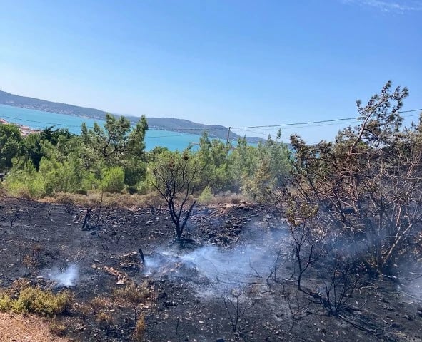 Ayvalık Cunda Adası'nda Orman Yangını